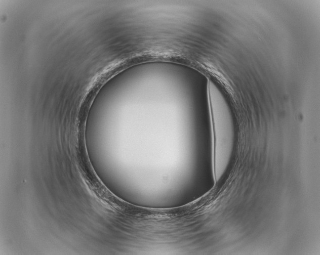 X0000087380492200704200846