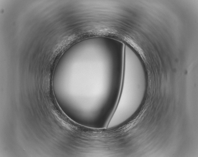 X0000087380493200704200846