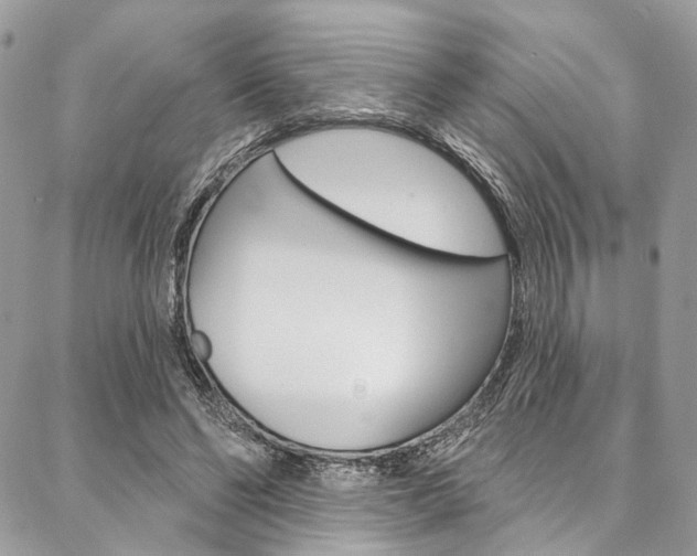 X0000087380494200704200846