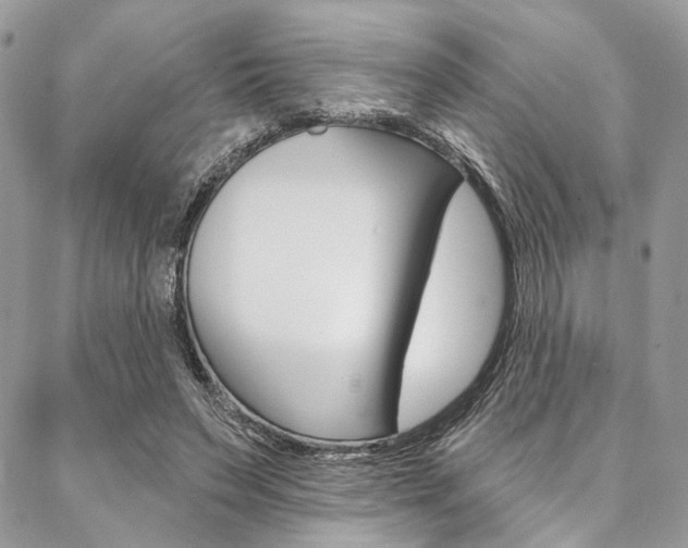 X0000087380495200704200846