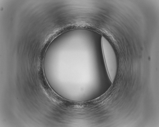 X0000087380496200704200846