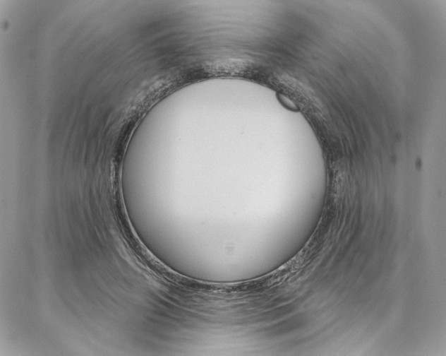 X0000087380498200704200846