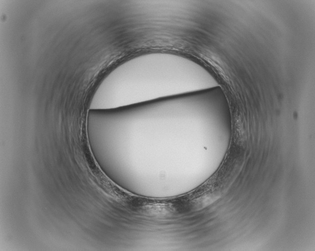 X0000087380499200704200846