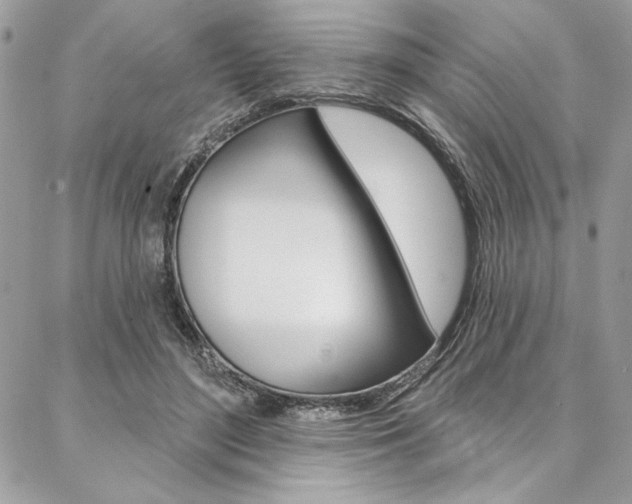 X0000087380500200704200846