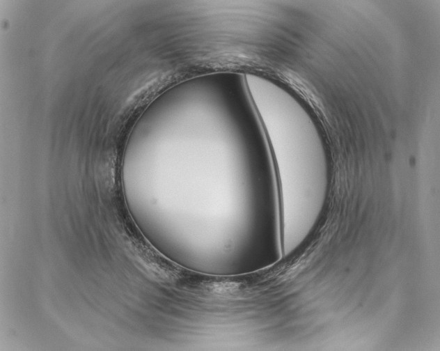 X0000087380501200704200846