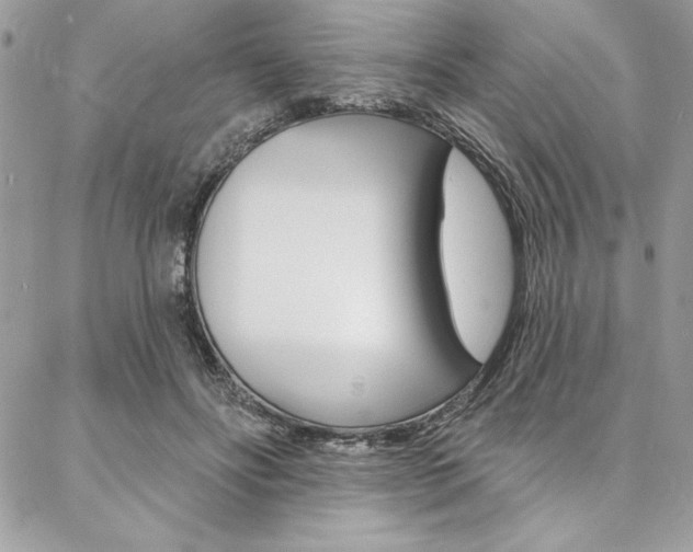 X0000087380502200704200846