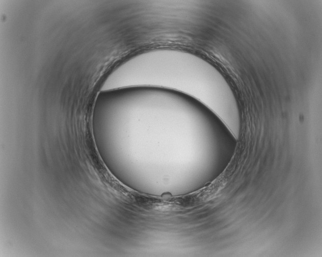 X0000087380504200704200846