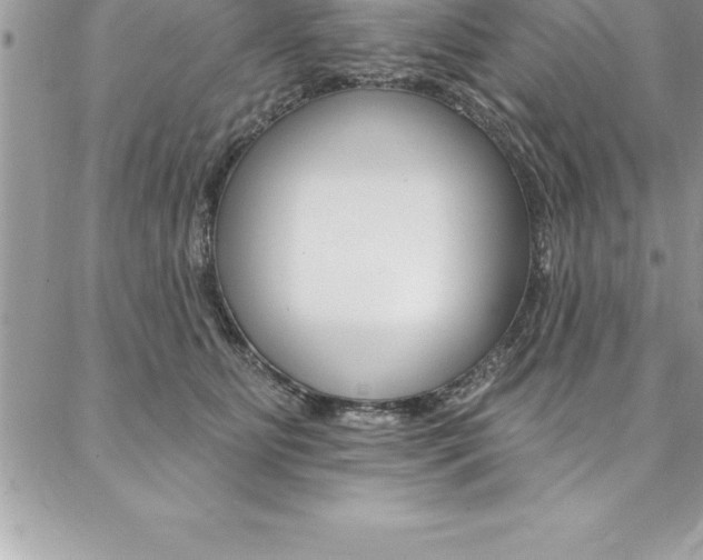X0000087380515200704200846