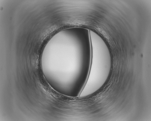 X0000087380544200704200845