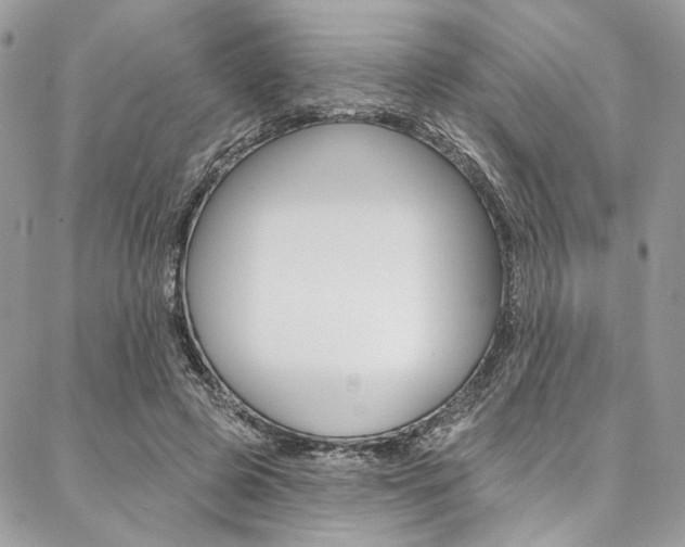 X0000087380545200704200845
