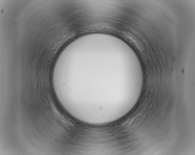 X0000087380546200704200845