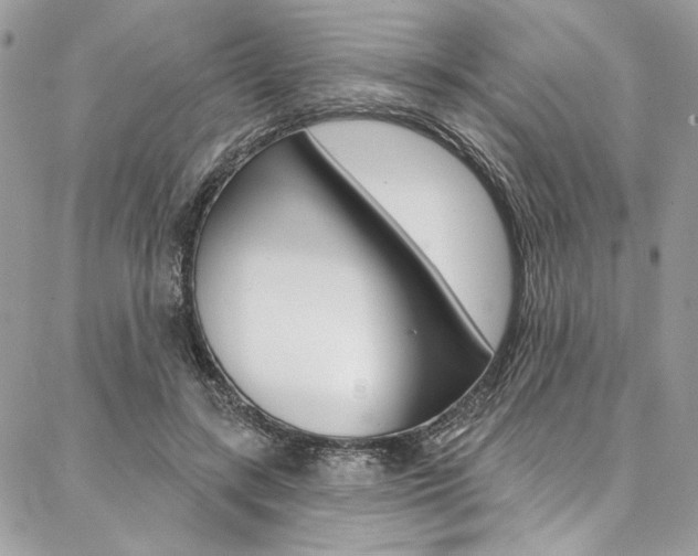 X0000087380547200704200845