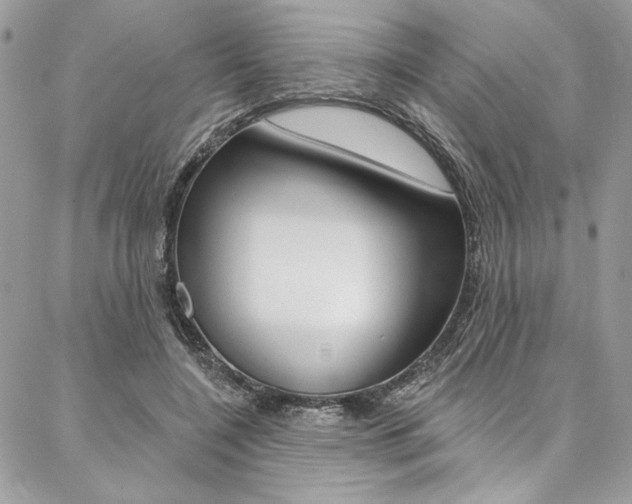 X0000087380548200704200845