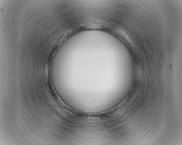 X0000087380549200704200845
