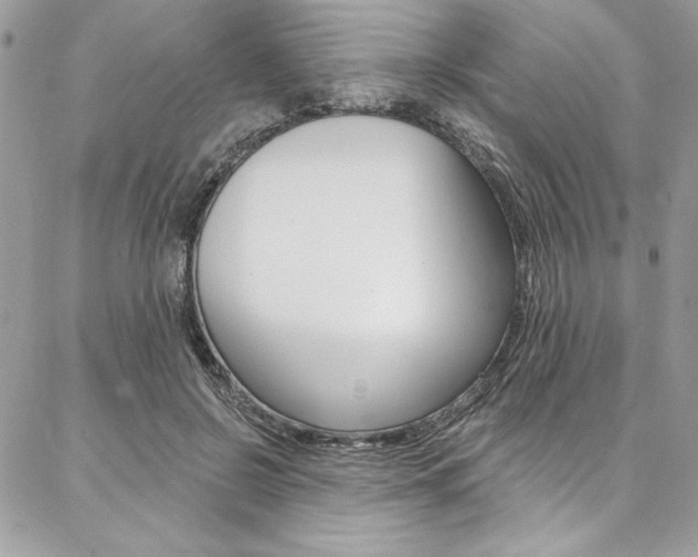 X0000087380550200704200845