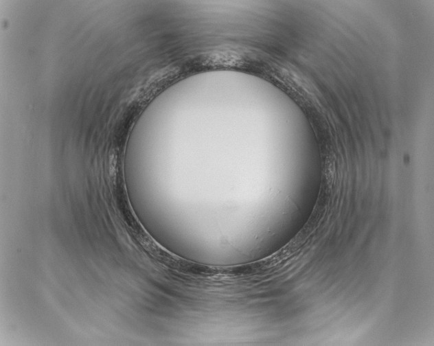 X0000087380551200704200845