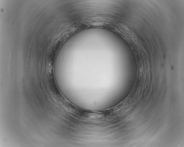 X0000087380555200704200845