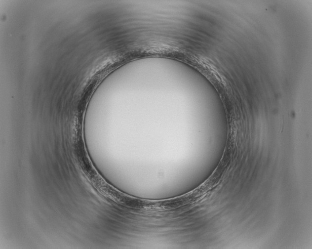 X0000087380591200704200845