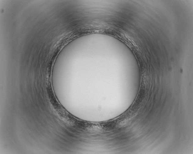 X0000087380594200704200845