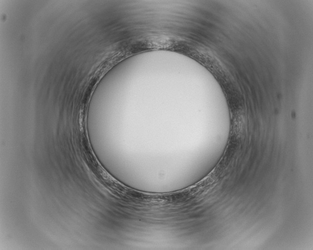 X0000087380598200704200845