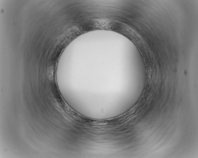 X0000087380602200704200844