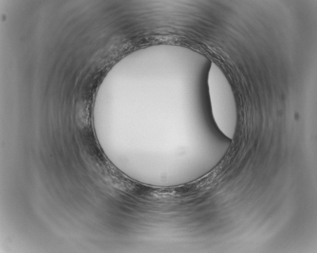 X0000087380606200704200844