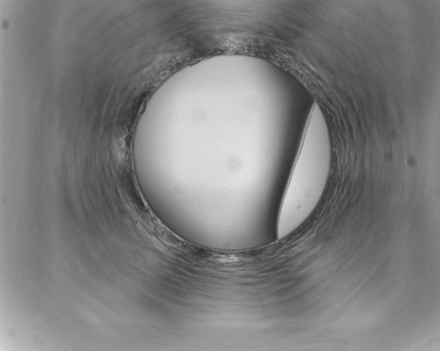 X0000087380611200704200844