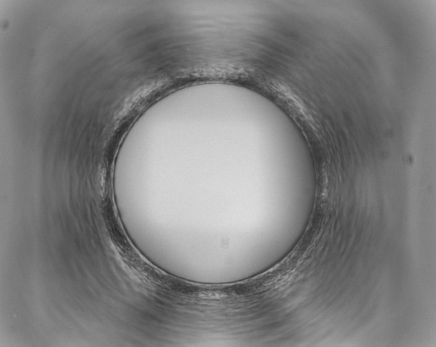 X0000087380636200704200844