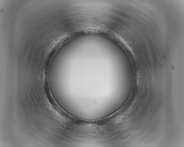 X0000087380637200704200844