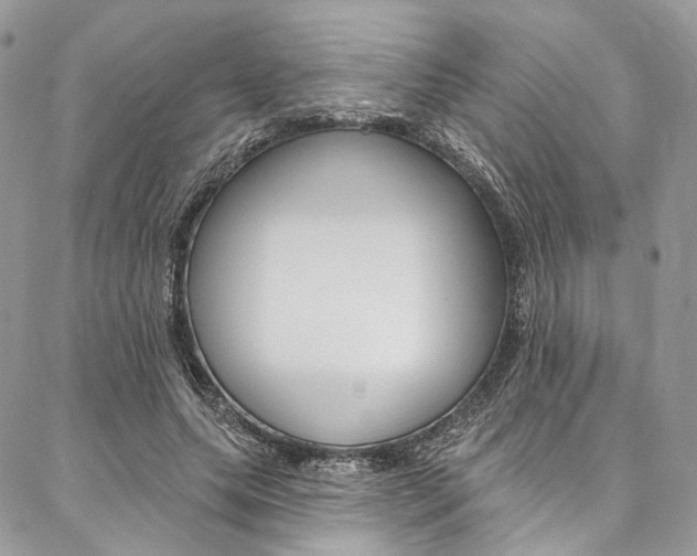 X0000087380639200704200844