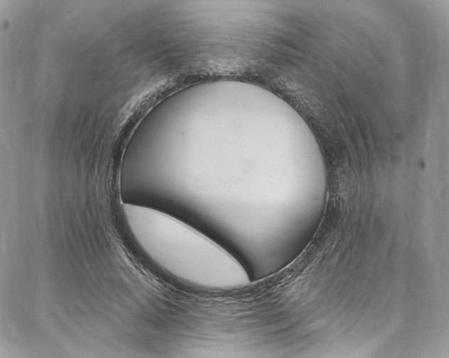 X0000087380640200704200844