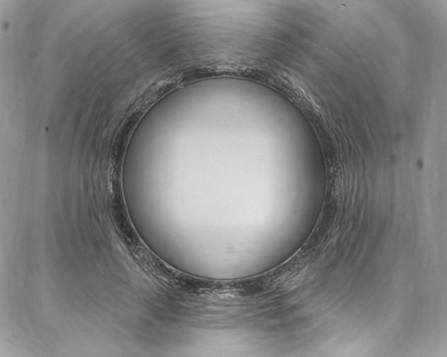 X0000087380643200704200844