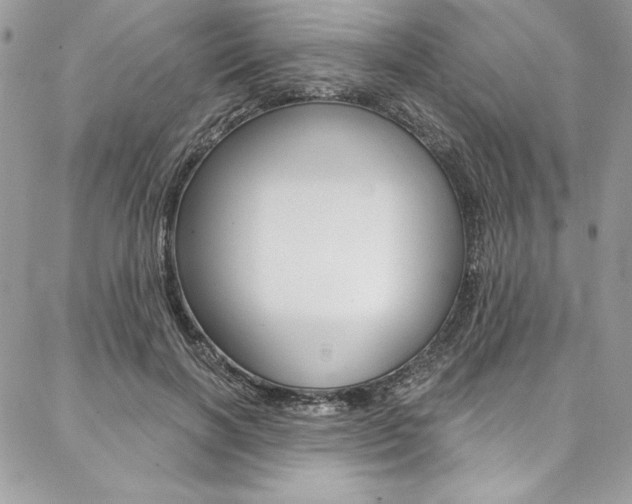 X0000087380646200704200844