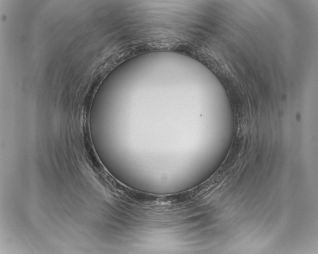 X0000087380647200704200844