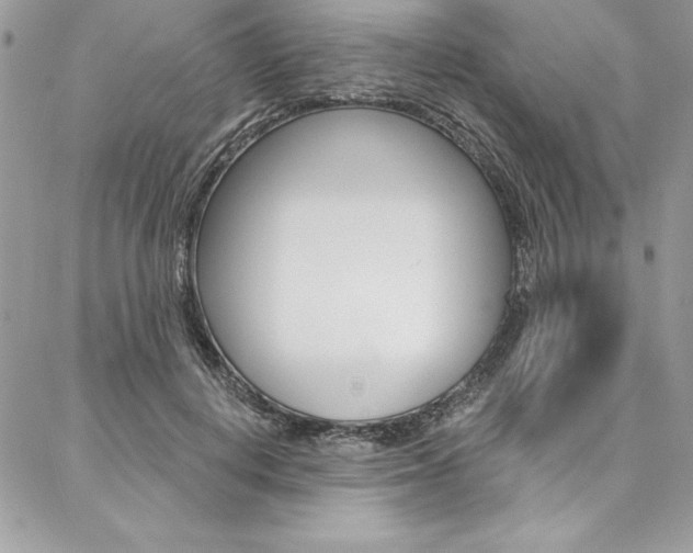 X0000087380648200704200844