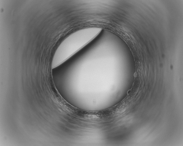 X0000087380649200704200844