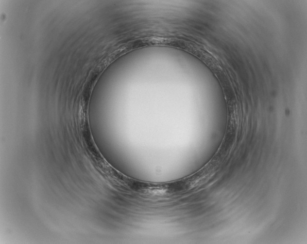 X0000087380651200704200844
