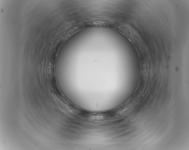 X0000087380653200704200844