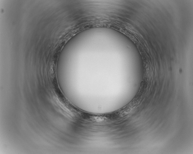 X0000087380654200704200844