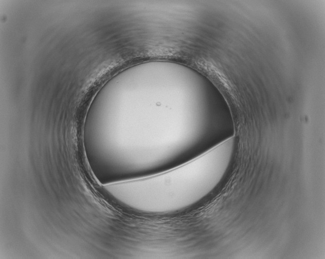X0000087380684200704200843