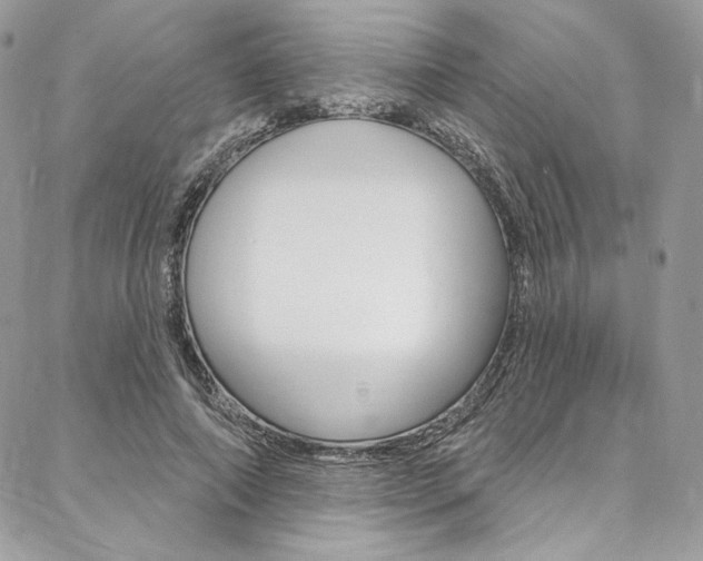 X0000087380690200704200843