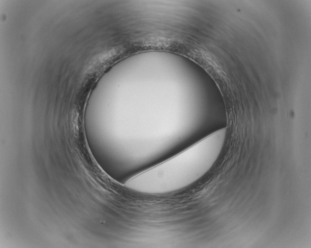 X0000087380692200704200843