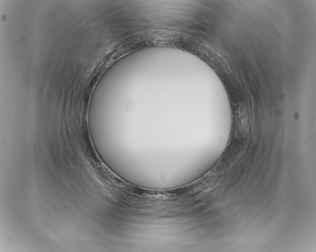 X0000087380698200704200843