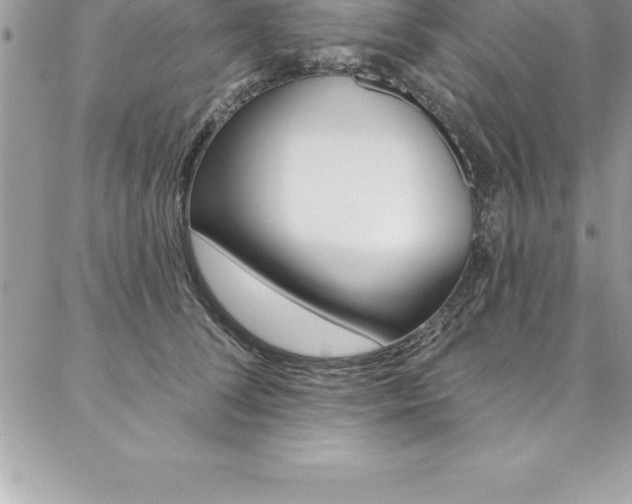 X0000087380708200704200843