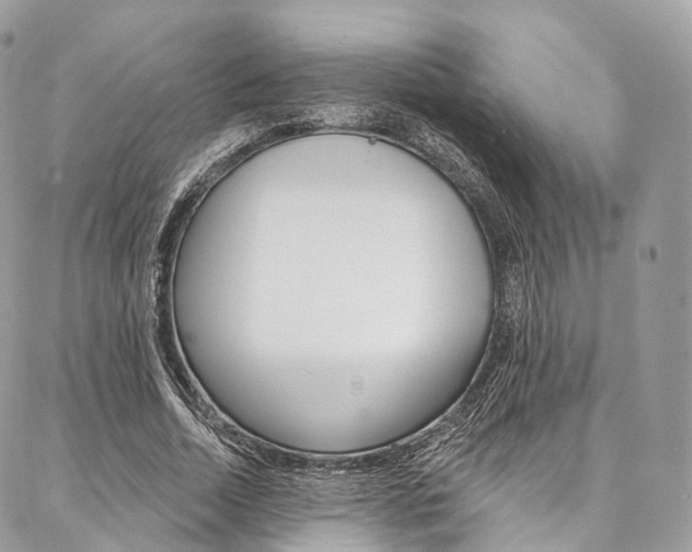X0000087380730200704200842
