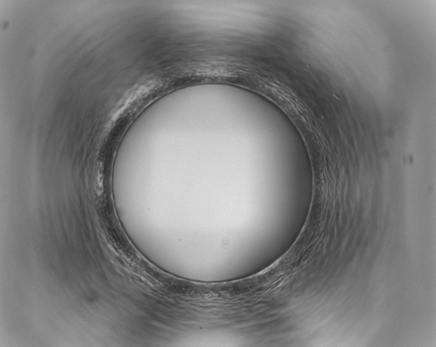 X0000087380731200704200842