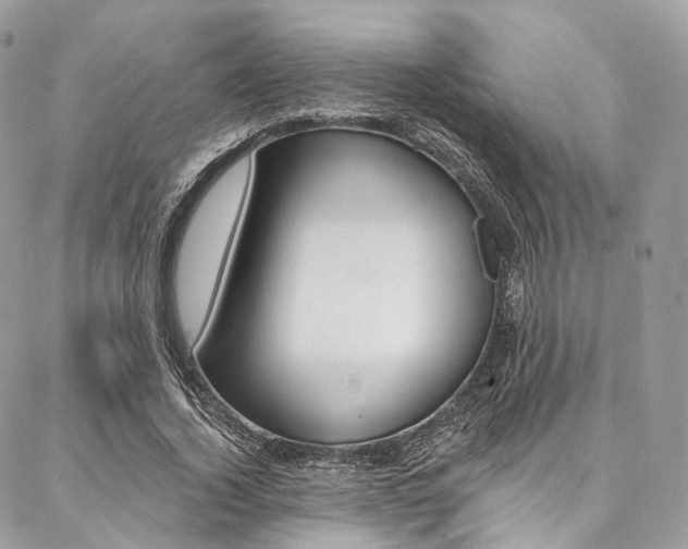 X0000087380732200704200842