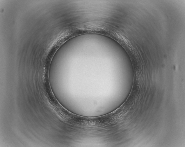 X0000087380735200704200842