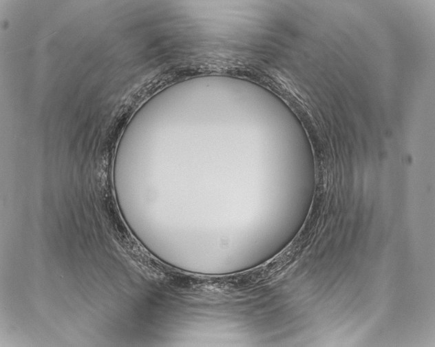 X0000087380737200704200842