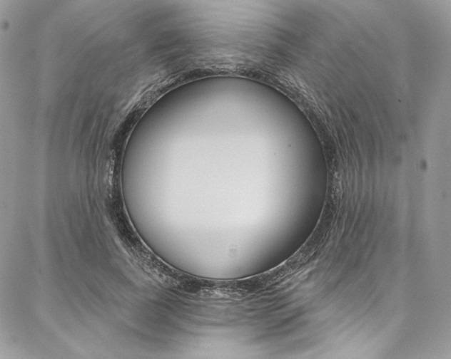 X0000087380739200704200842